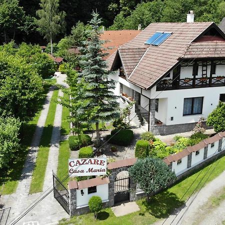 Pension Casa Maria سوفاتا المظهر الخارجي الصورة